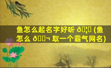 鱼怎么起名字好听 🦈 (鱼怎么 🐬 取一个霸气网名)